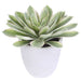 16" Echeveria Artificial Plant w/Cement Pot -Green/Cream (Pack of 2) - LQS106-GR/CR