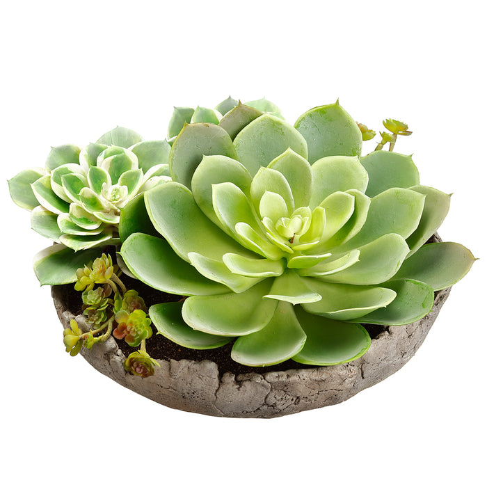 6.5" Mixed Artificial Succulent Garden Plant w/Cement Pot -Green (pack of 2) - LQS150-GR