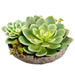 6.5" Mixed Artificial Succulent Garden Plant w/Cement Pot -Green (pack of 2) - LQS150-GR