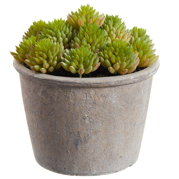 6" Sedum Succulent Artificial Plant w/Papier Mache Pot -Green (Pack of 6) - LQS172-GR