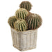 8.5" Barrel Cactus Artificial Plant w/Cement Pot -Green (Pack of 4) - LQS173-GR