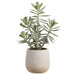 12" Aeonium Succulent Artificial Plant w/Plastic Pot -Green/Gray (Pack of 4) - LQS176-GR/GY