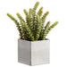12.5" Artificial Donkey Tail Succulent Plant w/Plastic Pot -Green/Gray (pack of 4) - LQS183-GR/GY