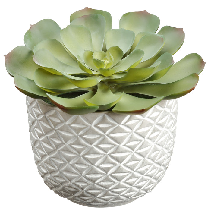 7.25" Echeveria Artificial Plant w/Cement Pot -Green (Pack of 6) - LQS200-GR