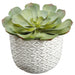 7.25" Echeveria Artificial Plant w/Cement Pot -Green (Pack of 6) - LQS200-GR