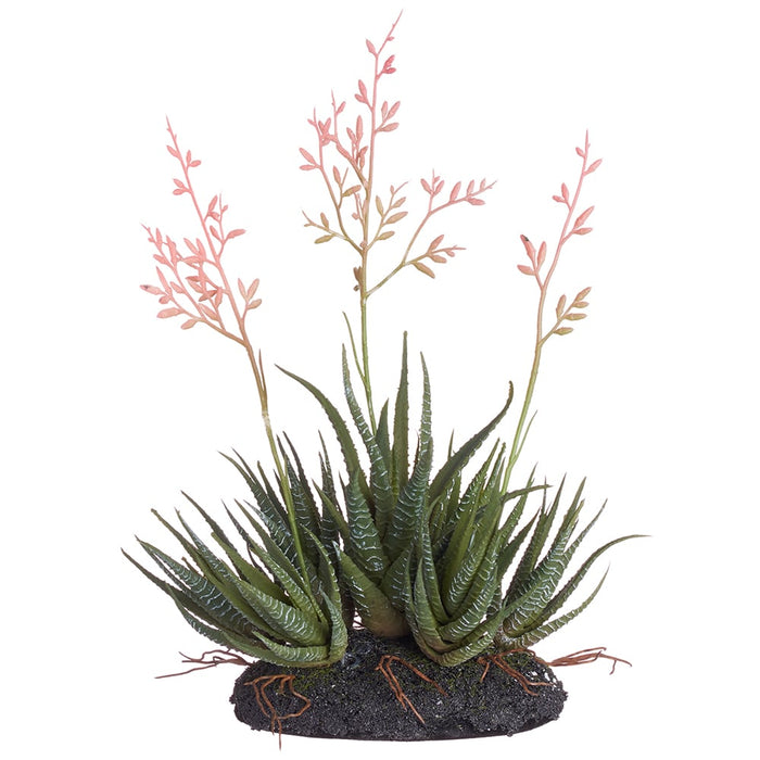 11" Blooming Agave Artificial Plant w/Soil Base -Pink/Green (pack of 6) - LQS221-PK/GR
