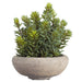 9" Artificial Stonecrop Sedum Succulent Plant w/Cement Pot -Green (pack of 4) - LQS257-GR