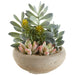 7.5" Mixed Succulent Garden Artificial Plant w/Cement Pot -Green/Coral (Pack of 4) - LQS272-GR/CO