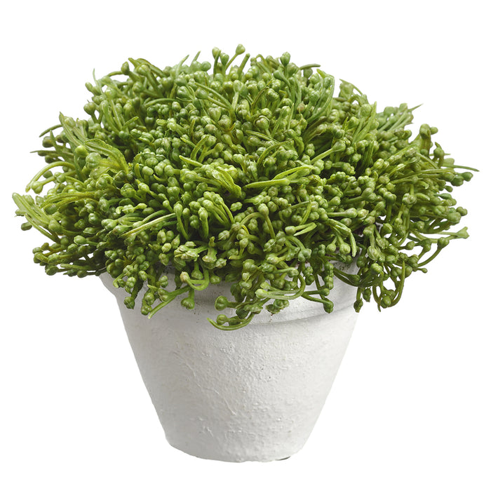 5.5" Artificial Sedum Succulent Plant w/Magnesium Oxide Pot -Green (pack of 4) - LQS311-GR