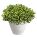 5.5" Artificial Sedum Succulent Plant w/Magnesium Oxide Pot -Green (pack of 4) - LQS311-GR