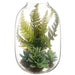 11.5" Mixed Succulent & Leather Fern Artificial Plant w/Glass Terrarium -Green (Pack of 2) - LQS315-GR