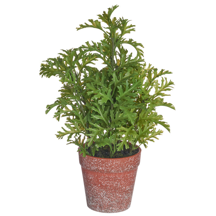 11" Senecio Leaf Artificial Plant w/Plastic Pot -Green (pack of 6) - LQS330-GR