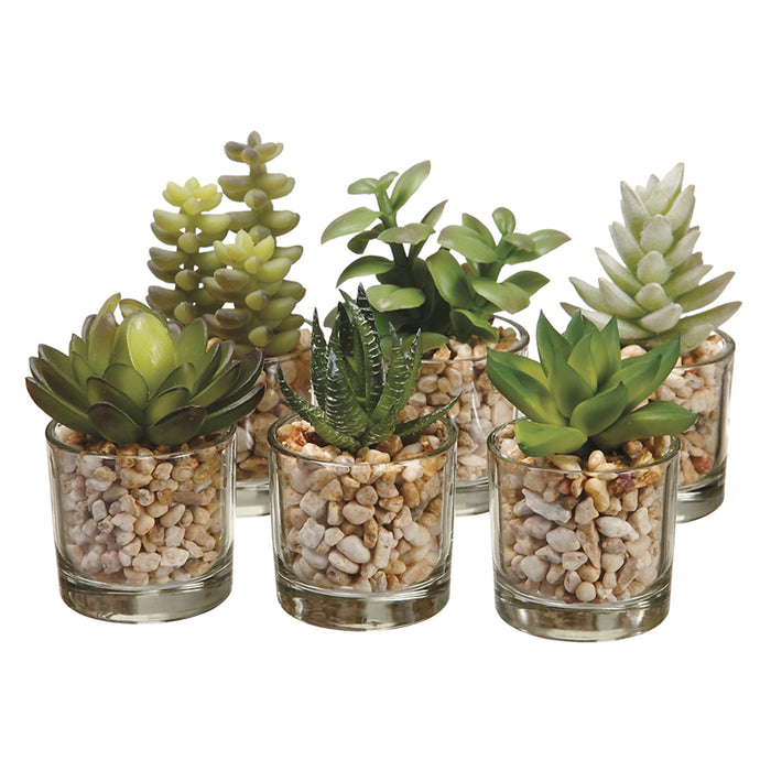 assorted faux succulents Set Of Assorted Succulent Artificial Plant w/Glass Vase -2 Tone Green — Silks Are Forever