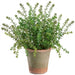 16.5" Outdoor UV-Resistant Artificial Sedum Plant w/Clay Pot -Green (Pack of 4) - LQS403-GR