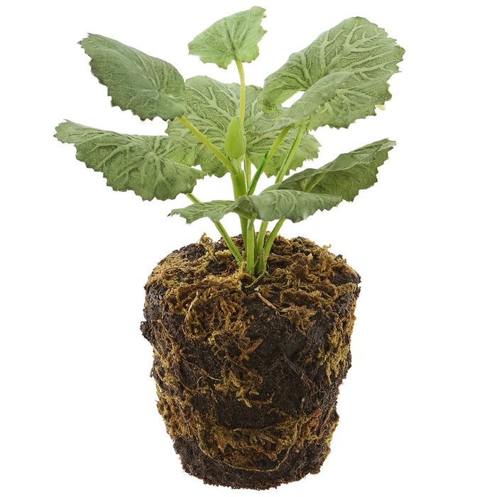6" Silk Saxifraga Leaf Plant w/Soil Ball -Green (pack of 12) - LQS425-GR
