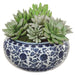 7" Succulent Garden Artificial Plant w/Ceramic Vase -2 Tone Green (pack of 2) - LQS434-GR/TT