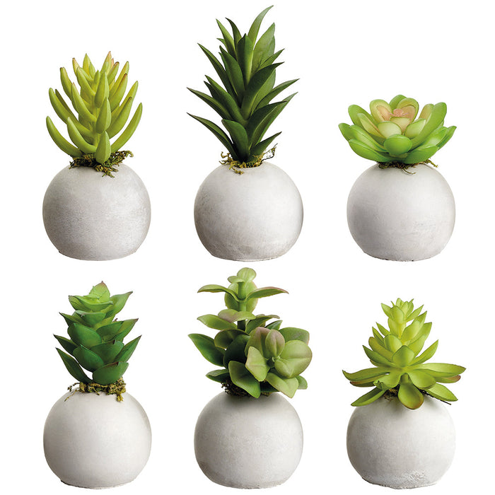 artificial succulent garden 5.5" Set Of Assorted Succulent Garden Artificial Plants w/Cement Pots — Silks Are Forever
