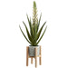 24" Blooming Agave Artificial Plant w/Cement Pot & Wood Stand -White/Green (pack of 4) - LQS467-WH/GR