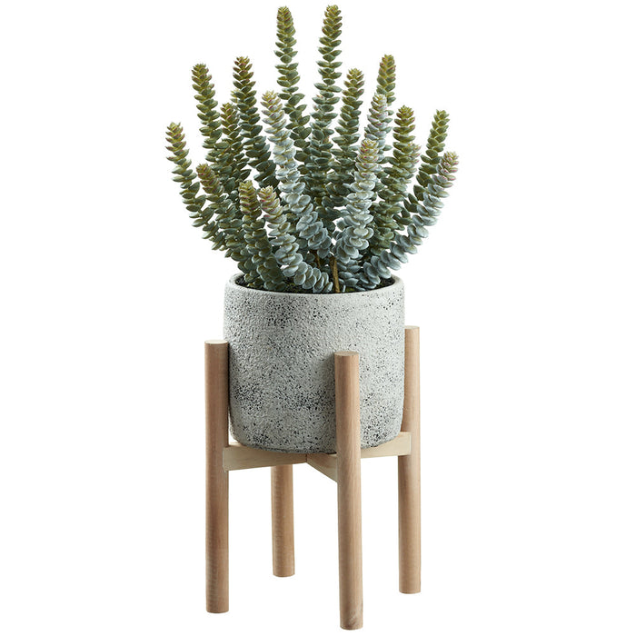 19" Donkey Tail Succulent Artificial Plant w/Cement Pot & Wood Stand -Green/Gray (pack of 2) - LQS486-GR/GY