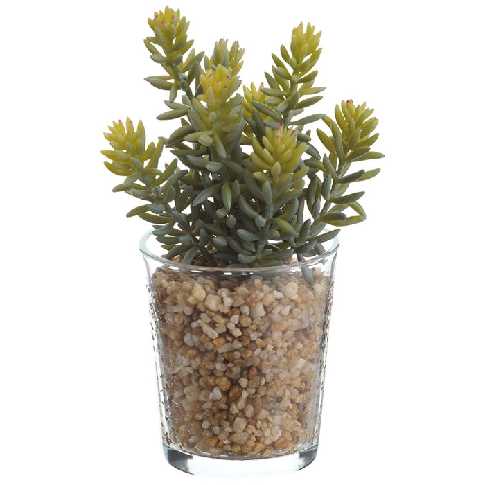 8" Real Touch Sedum Succulent Artificial Plant w/Glass Vase -Green/Gray (Pack of 6) - LQS500-GR/GY