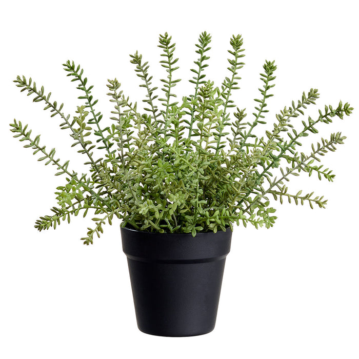 14.5" Sedum Succulent Artificial Plant w/Plastic Pot -Green (Pack of 6) - LQS511-GR