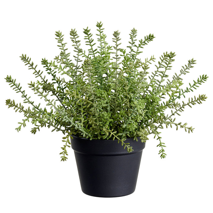 15.5" Sedum Succulent Artificial Plant w/Plastic Pot -Green (Pack of 4) - LQS512-GR