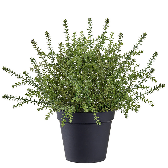 22" Sedum Succulent Artificial Plant w/Plastic Pot -Green (Pack of 2) - LQS513-GR