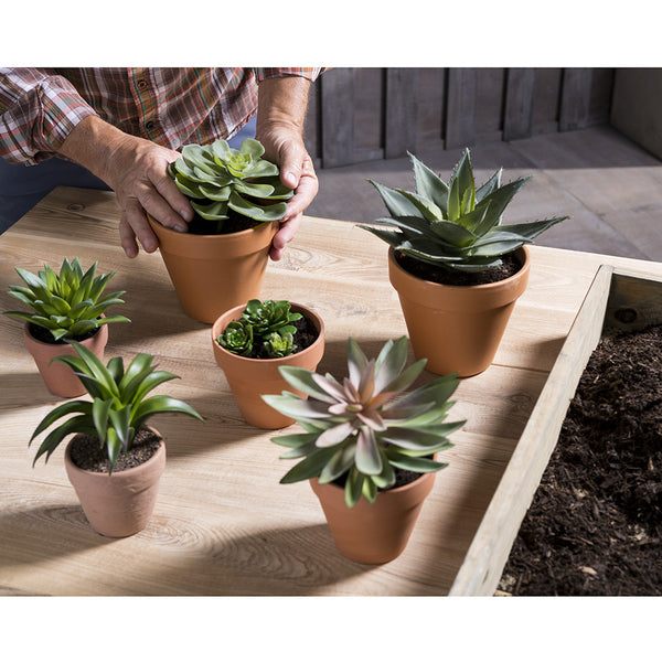 6" Artificial Succulent Plant w/Pot -2 Tone Green (pack of 4) - LQS541-GR/TT