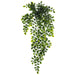 27" Hanging Dischidia Cascade Artificial Plant w/Plastic Pot -Green (pack of 6) - LQS570-GR