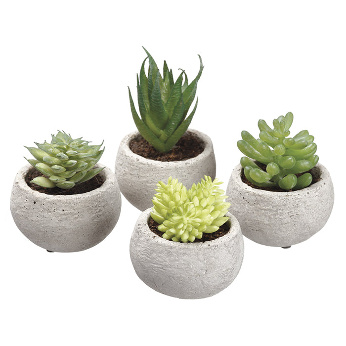 set of succulent pots 3.5" Set Of Assorted Succulent Artificial Plants w/Cement Pots — Silks Are Forever