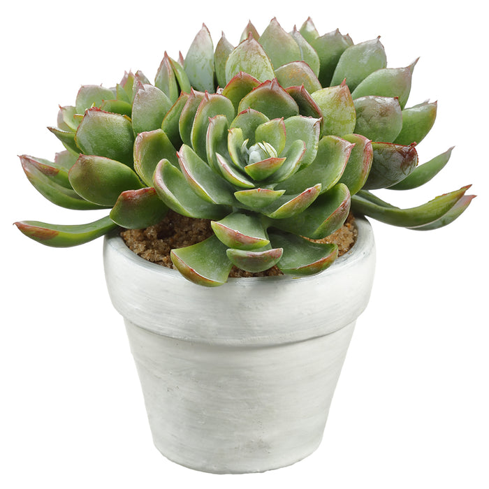 5" Artificial Echeveria Succulent Plant w/Ceramic Pot -Green/Red (pack of 4) - LQS629-GR/RE