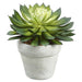 5" Artificial Echeveria Succulent Plant w/Ceramic Pot -2 Tone Green (pack of 4) - LQS632-GR/TT