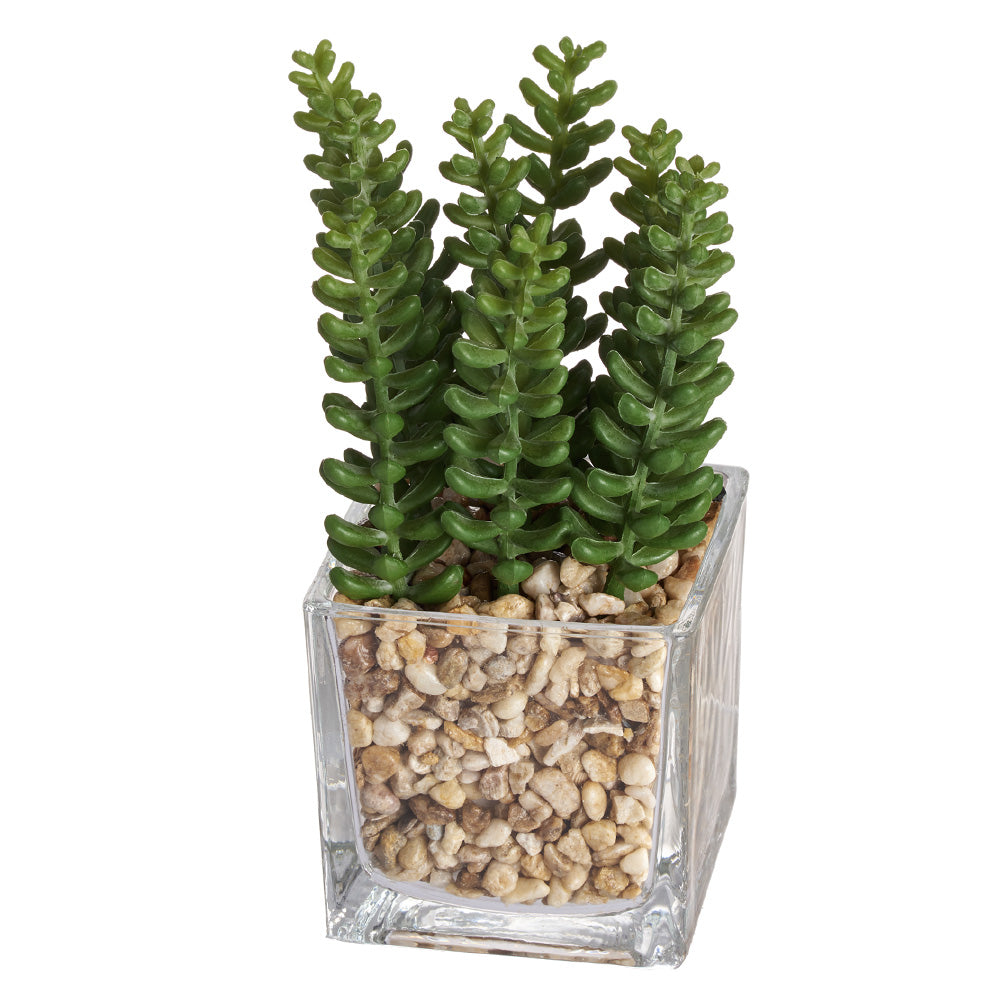 40 in. Donkey Tail String of Pearls Artificial Succulent Hanging Stem Plant Greenery Pick Spray Branch (Set of 2)