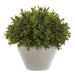 10" Artificial Tea Leaf Ball-Shaped Topiary w/Papier Mache Pot -Green (Pack of 2) - LQT445-GR
