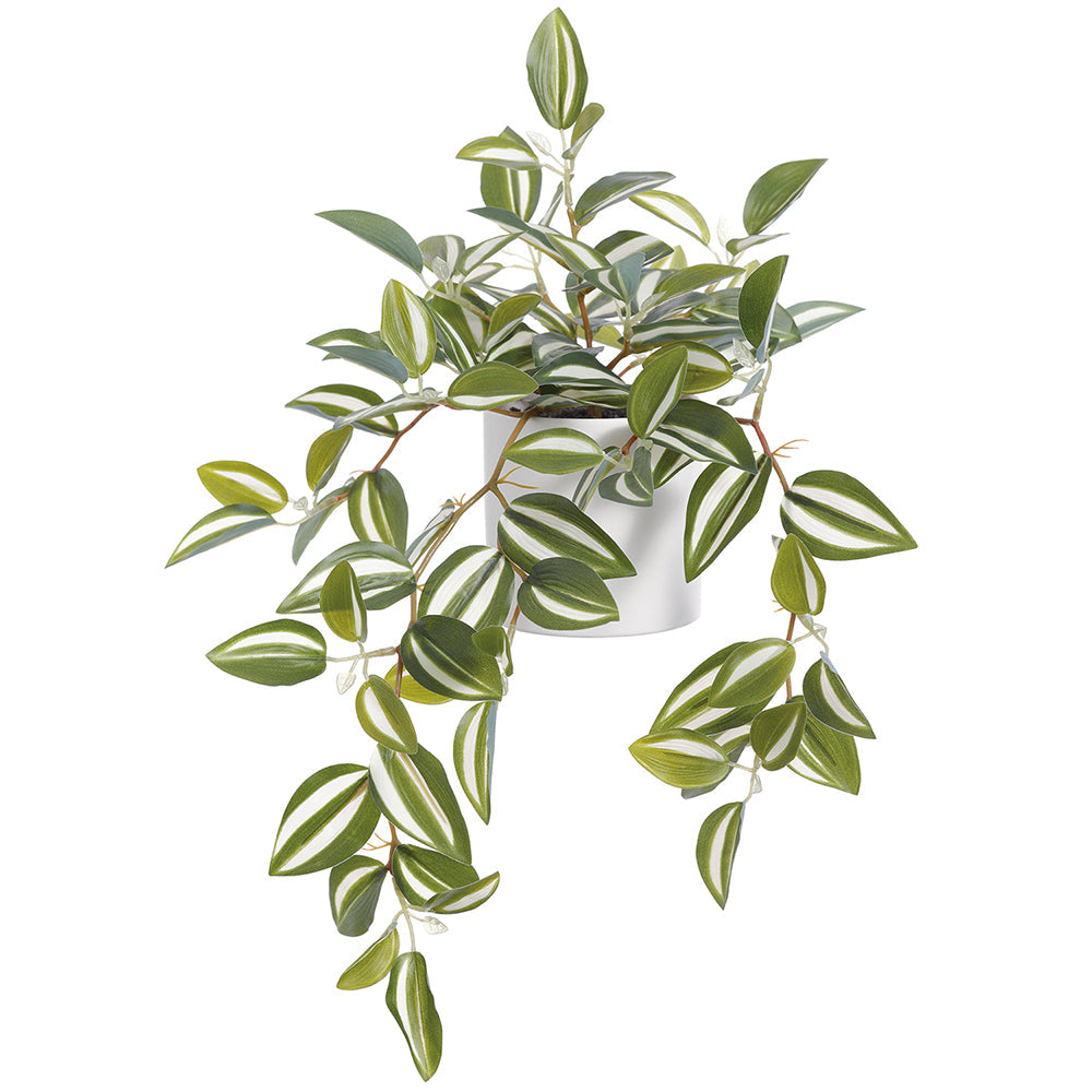 money tree lynnwood wa Braided Money Tree – Local Delivery in Portland main image 0
