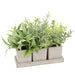 7" Assorted Greenery Silk Plants w/Cement Pots & Tray -Green/Gray (pack of 4) - LQX113-GR/GY