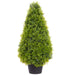 25.5" Boxwood Teardrop-Shaped Artificial Topiary Plant w/Pot -Green (Pack of 6) - LRB790-GR