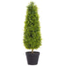 29" Boxwood Cone-Shaped Artificial Topiary Plant w/Pot -Green (Pack of 4) - LRB793-GR