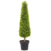 39.5" Boxwood Cone-Shaped Artificial Topiary Plant w/Pot -Green (Pack of 2) - LRB794-GR