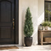 5' Outdoor UV-Resistant Artificial Cedar Cone-Shaped Topiary -Green/Gray (Pack of 2) - LRC125-GR/GY