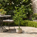 4' Outdoor UV-Resistant Faux Bamboo Tree w/Pot -Green (Pack of 2) - LTB001-GR
