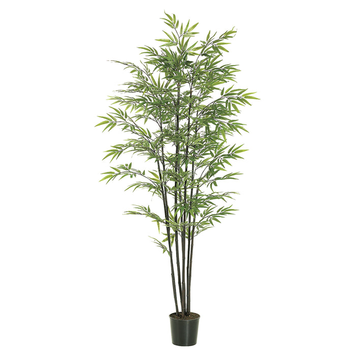 6' Black Bamboo Silk Tree w/Pot -1,440 Leaves (pack of 2) - LTB066-GR
