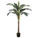 6' Silk Banana Palm Tree w/Pot -Green (pack of 2) - LTB072-GR