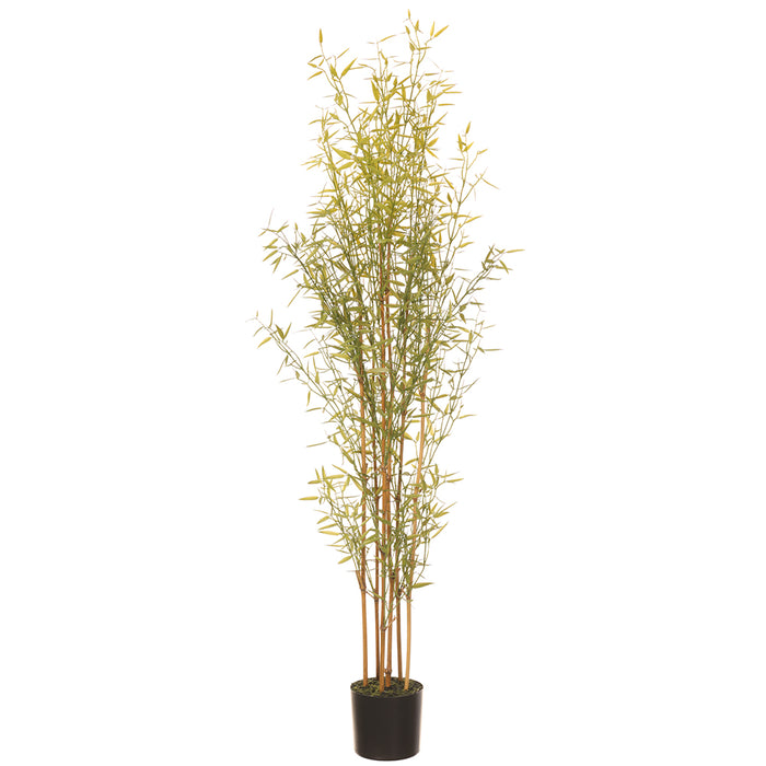 4' Mini Bamboo Silk Tree w/Pot -Green (pack of 2) - LTB076-GR