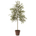 2'8" Bamboo Silk Tree w/Pot -Green (pack of 4) - LTB077-GR