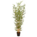 6' Silk Mini Bamboo Tree w/Plastic Pot -Green/Natural - LTB202-GR/NA