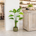 47" Silk Banana Leaf Plant w/Plastic Pot -Green (Pack of 2) - LTB214-GR