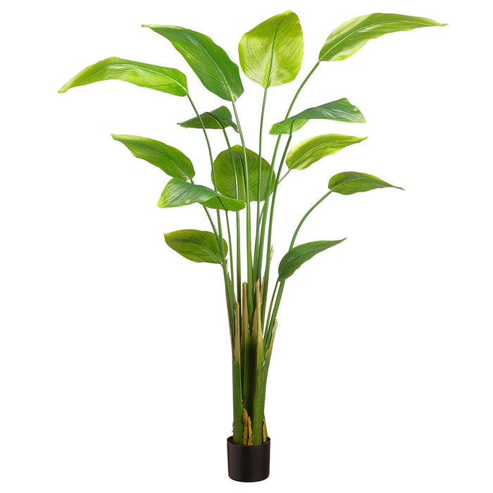6' Silk Banana Leaf Palm Tree w/Plastic Pot -Green (pack of 2) - LTB216-GR