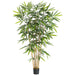 5'6" Bamboo Silk Tree w/Pot -Green (pack of 2) - LTB255-GR