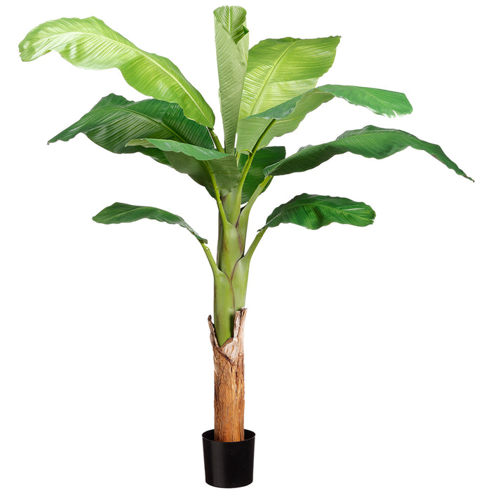 4'9" Royal Banana Silk Palm Tree w/Pot -Green (pack of 2) - LTB350-GR